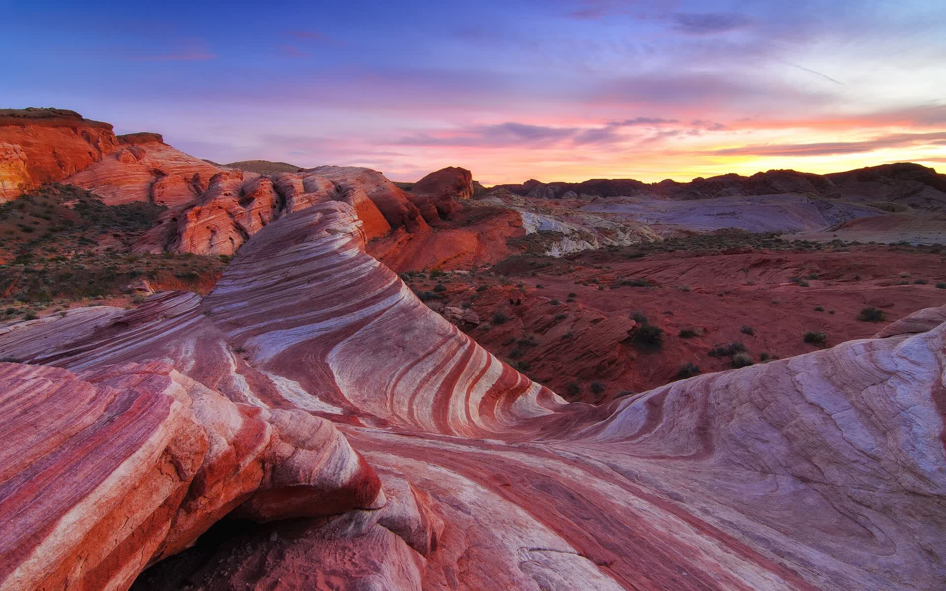 世界自行车青训发展论坛发布专家建议书,世界自行车队